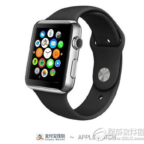 apple watch֧ʹ÷DĽB